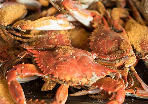 Maryland Blue Crabs from Chesapeake Bay