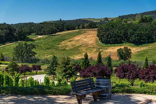 Denner Winery, Paso Robles