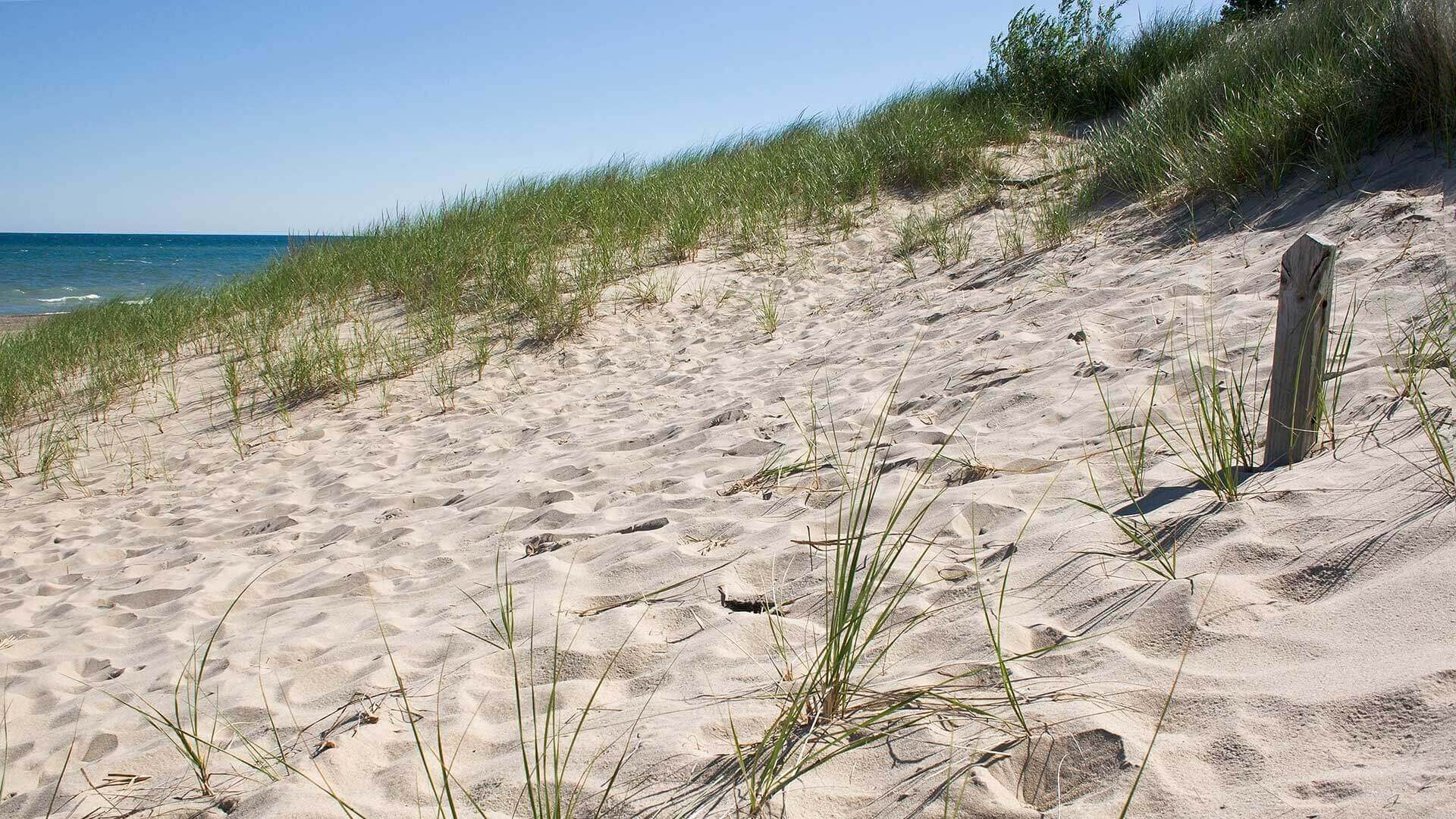 10 Things to Know About the Indiana Dunes