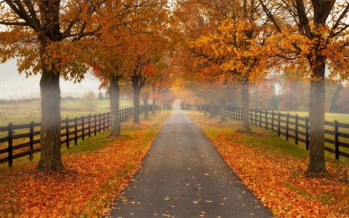 Shenandoah Valley, Virginia
