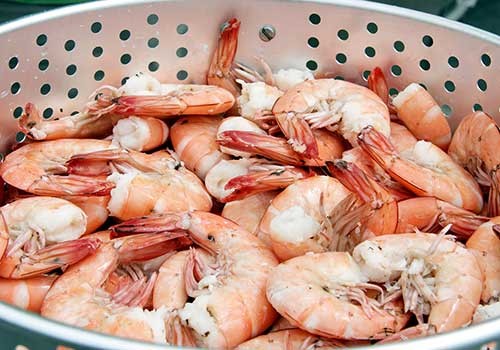 Fresh pink shrimp from the Florida Keys