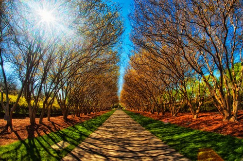 Sixth Floor Museum, Dallas, TX