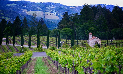 Napa Valley, California wine country