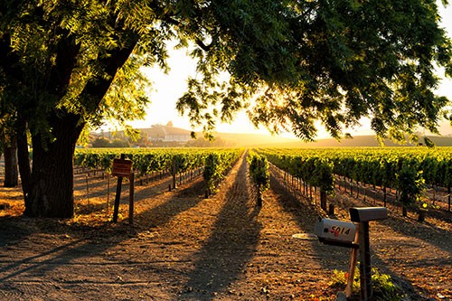 Sonoma County, California