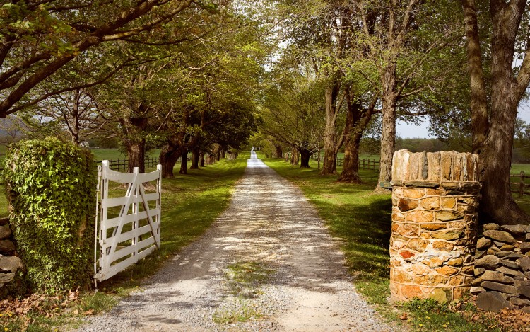 Best Unique Honeymoon Destinations in the U.S.