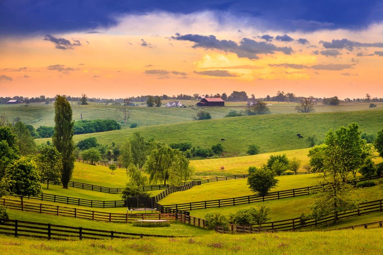 The Bluegrass State: A Kentucky Travel Guide